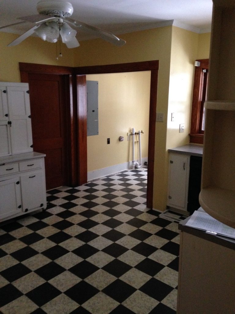 Initial Discovery Pics (15)