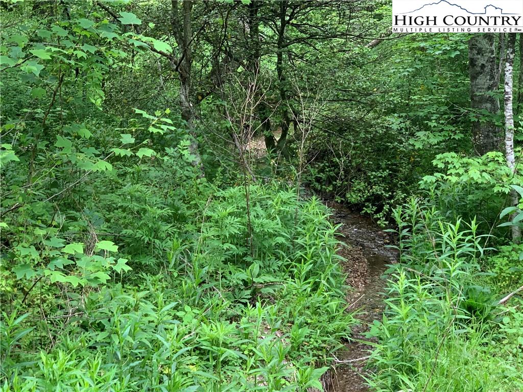 10 acres of land in lenior